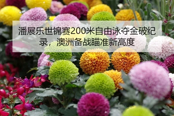 潘展乐世锦赛200米自由泳夺金破纪录，澳洲备战瞄准新高度