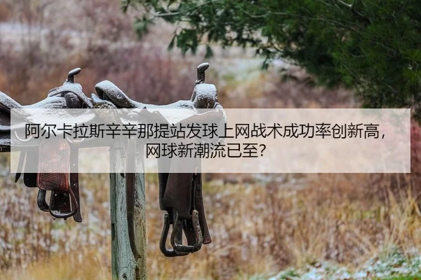 a-er-ka-la-si-xin-xin-na-ti-zhan-fa-qiu-shang-wang-zhan-shu-cheng-gong-lv-chuang-xin-gao-wang-qiu-xin-chao-liu-yi-zhi-2-439.jpg
