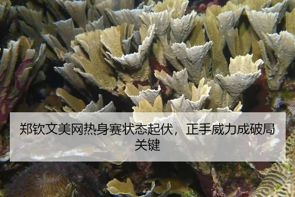 zheng-qin-wen-mei-wang-re-shen-sai-zhuang-tai-qi-fu-zheng-shou-wei-li-cheng-po-ju-guan-jian-3-587.jpg