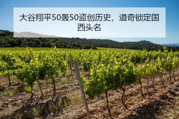 da-gu-xiang-ping-hong-dao-chuang-li-shi-dao-qi-suo-ding-guo-xi-tou-ming-3-550.jpg